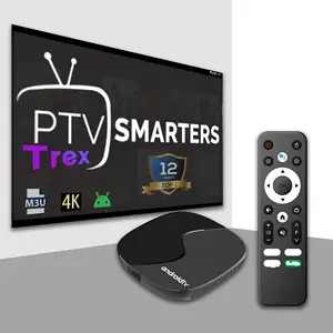 Box per prova gratuita 4K IPTV abbonamento 12 mesi M3u elenco Test gratuito pannello rivenditore M3U 4K pannello rivenditore Iptv m3u TV Box TV