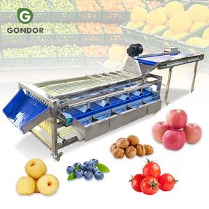 Machine de tri et de calibrage automatique pour fruits (pommes de terre, bleuets, olives, tomates cerises, pommes, oignons, avocats) - Product Image 1
