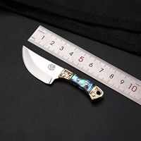 Couteau porte-clés EDC portable, mini ouvre-lettre, multi-outils, couteau de poche avec étui pour le camping en plein air et l'usage quotidien