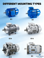 Moteur asynchrone triphasé à induction AC 4HP 3kW avec boîtier en fonte IE1, 380V 50Hz, montage à bride, 1410 tr/min, B5