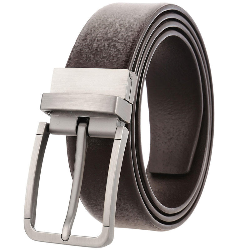 สีน้ำตาล + เงินใบ้