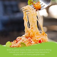Vente en gros de pâtes Keto sans gluten et sans calories, spaghetti de konjac, nouilles instantanées Shirataki, repas instantané