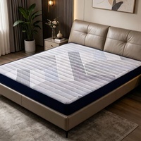 Matelas à ressorts ensachés Euro Top en mousse à mémoire de forme de qualité hôtelière, format King Queen, OEM, luxe, roulé en boîte