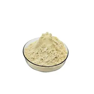 L-methylfolate Top Quality L-methylfolate Powder