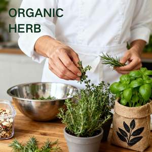 <span class=keywords><strong>Kit</strong></span> de Bonsái de Interior Ecológico de Diseño Moderno y Lujoso, con Fibra Vegetal, Manualidades de Jardinería para Principiantes y Adultos - Product Image 6