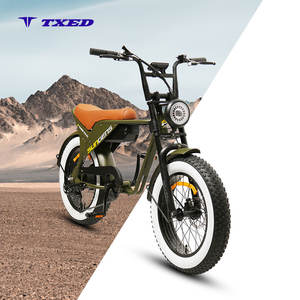 Motocicleta Eléctrica TXED de 20 Pulgadas, 48V, 750W, Cuadro de Acero, Dos Asientos, Velocidad de 25-32 km/h - Product Image 1