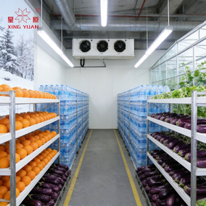 Chambre Froide Professionnelle à Prix Réduit pour <span class=keywords><strong>Boucherie</strong></span> - Promotion Exceptionnelle - Product Image 2