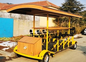 Voiture de tourisme électrique professionnelle haute performance de marque KN-500, modèle KN, fournie par l'usine, navette touristique en fibre de verre - Product Image 2