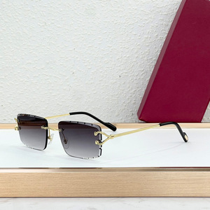 Gafas de Sol Sin Marco con Bisagras Metálicas, Unisex, Protección UV400, Gafas de Conducir CT0918S - Product Image 2
