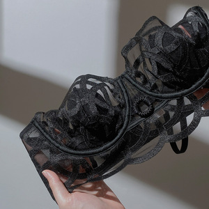 Factory Direct Sales Sexy Lingerie Thin Rabbit Ear Lace <b>Bra</b> <b>Transparent</b> <b>Bra</b> for Women - Product Image 2