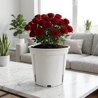 Pots de fleurs modernes, mignons, durables et légers en plastique PP blancs pour pépinière, jardin vertical, sol, démarrage, élégants, pour bureau et intérieur