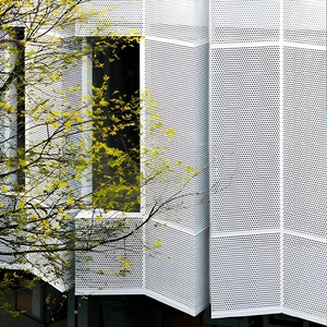Panneau de mur rideau en aluminium de style européen avec motif géométrique en treillis, anti-corrosion, revêtement en poudre, personnalisé - Product Image 1