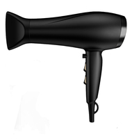 Sèche-cheveux électrique haute puissance à vente chaude avec diffuseur ionique, moteur CC, air chaud/froid pour salons de coiffure et usage familial