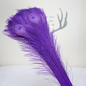 Plumas de Pavo Real Naturales Blanqueadas de 80-90cm al por Mayor para Decoración de Bodas, Accesorios para Arreglos Florales, Decoloración - Product Image 6