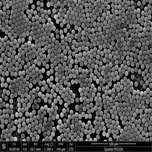 Partículas Magnéticas Funcionales con Superficie Carboxilada para Reactivos de Diagnóstico Clínico, Adsorción de Proteínas y Purificación de Biomoléculas - Product Image 3