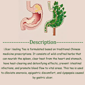 [Thé Nourrissant pour l'Estomac] Tisane Bio Naturelle Apaisante pour l'Estomac, Soin du Corps, Sachets de Thé Parfumés - Product Image 5