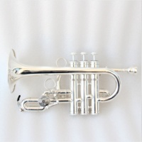 Wholesale Trumpet Professional Good Price Economical Trumpet Instrument Silver Plated Bb/A Piccolo Trumpet