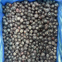 IQF Blueberry Beku Utuh Warna Biru Tua Grade A Kualitas Premium Blueberry Beku untuk Grosir Roti