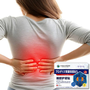 Tempelan perlindungan ginjal mengurangi nyeri punggung bawah, lutut lemah, tumpahan, dan sensitivitas dingin. - Product Image 2