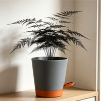 Pots de fleurs modernes intelligents à arrosage automatique, en plastique PP durable, avec trous de drainage, design minimaliste, capacité de 3,23 L, utilisation intérieure/extérieure