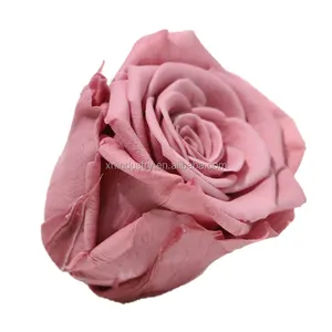 Hochwertige 5-6cm lange Großhandel natürliche echte Berührung Rose ewige Rose Blume für immer konservierte Rosen Kopf