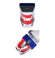 Modelo Dental de Ortodoncia con Dientes Tipodónticos Integrados en Cera Roja y Resina para Práctica de Posicionamiento de Brackets y Entrenamiento de Curvado de Arcos