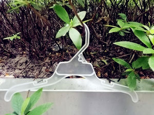 496 piezas Family <span class=keywords><strong>Dollar</strong></span> <span class=keywords><strong>General</strong></span> Top plástico <span class=keywords><strong>ropa</strong></span> organizador percha venta al por mayor bebé chico <span class=keywords><strong>ropa</strong></span> brillante inyección supermercado - Product Image 5