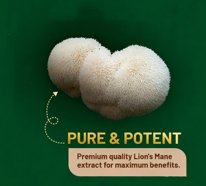 Suplemento de setas de Melena De León OEM/ODM con vitamina B1,B6,B12 y tabletas de pimienta negra - Product Image 2