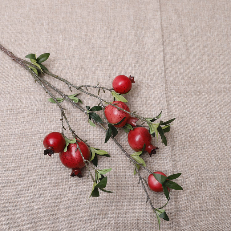 (6 ผลไม้)สีแดง