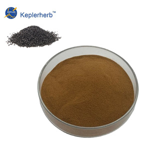 Extrait de Légionnaire (<span class=keywords><strong>Allium</strong></span> <span class=keywords><strong>Tuberosum</strong></span>) 10:1 / Poudre d'extrait de graines de poireau – Approvisionnement direct usine - Product Image 1