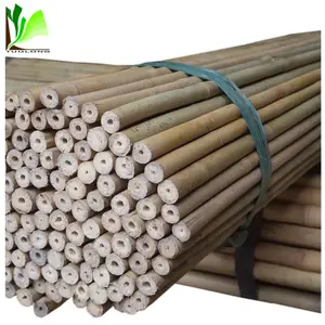 Strong Iron Bamboo Poles