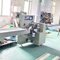 Automatische, hoog-efficiënte horizontale kussenverpakkingsmachine voor brood, sandwiches en taarten van bakkerijen
