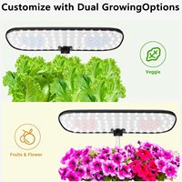 Tube hydroponique OEM pour la plantation de légumes et d'herbes d'intérieur Kit de culture à LED pour plantes d'intérieur Système de culture hydroponique