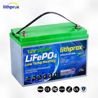 Batería de fosfato de hierro grado A 12V 120AH 6000+ ciclos Ciclo profundo Almacenamiento doméstico RS485 Smart BMS Conector Anderson CE RoHS IP67 OEM ODM