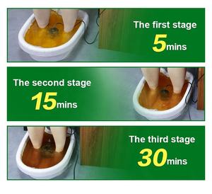 Ionic Detox Spa Maschine mit TENS Akupunktur Therapie - Product Image 6