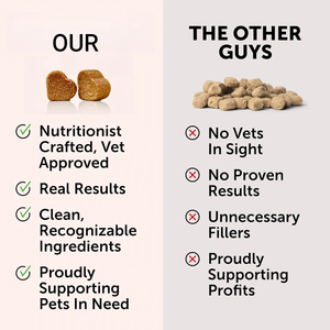 OEM ODM Private Label Pet digestivo integratore probiotico per cani supporto digestivo supporto immunitario e ossa sane trattare - Product Image 2