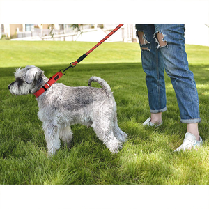<span class=keywords><strong>Collar</strong></span> reflectante de nailon y poliéster para perros <span class=keywords><strong>martingale</strong></span>, Juego de <span class=keywords><strong>2</strong></span> pulgadas, OEM/ODM - Product Image 4