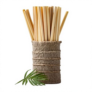 Eco Friendly Biodegradable Reusable <b>Bamboo</b> Drinking Straws with <b>Bamboo</b> Lid and Logo Cheap Price - Product Image 1