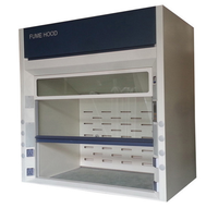 Hotte à fumées de laboratoire SCEELAB tout acier, type walk-in, pour l'évacuation des produits chimiques et l'accueil de gros équipements