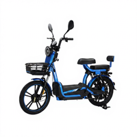 Vélo électrique de ville 20 pouces 800W 48V pour adulte, avec moteur arrière, panier avant et siège arrière