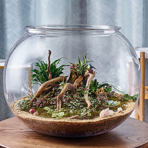 كوب مستدير لسطح المكتب من البولي كربونات, كوب زجاجي مستدير من البولي كربونات ، وعاء إبداعي صغير للزينة ، حوض سمك بيئي صغير - Product Image 5