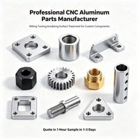 Fabricant professionnel de pièces en aluminium CNC, fraisage, tournage, anodisation, traitement de surface pour composants personnalisés
