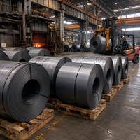 Bande de tôle d'acier au carbone laminée à froid de fabrication chinoise pour le stampage et la fabrication de pièces industrielles