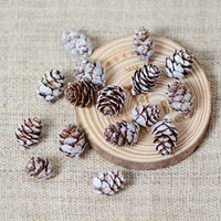 DIY Weihnachts-Tannenzapfen-Set mit Beeren und Tannenzweigen, Schnee-Tannenzapfen-Anhänger, Weiße Winter-Feiertagsdekoration für Weihnachtsbaum