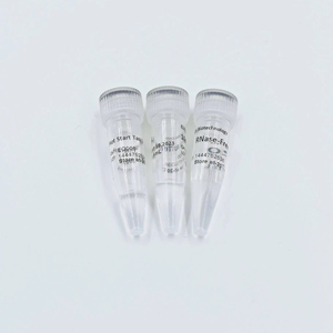 EQ006 100ul 500U Taq DNA Polimerasa de Arranque en Caliente para Investigación - Product Image 1