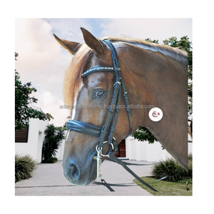 Doble brida de cuero Premium para caballos, alta calidad - Product Image 1