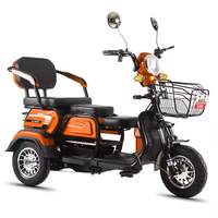 Triciclo Eléctrico para Pasajeros con Motor Central de 48v 800w y 3 Velocidades, Bicicleta Eléctrica de Acero de Tres Ruedas en Oferta