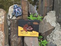 Boîtes de chocolat en gros, Chocolat Dragon, Miel aux herbes naturelles VIP, Chocolat Dragon