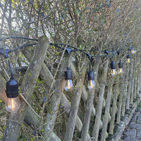 Imperméable à l'eau en plein air vacances mariage fête décorative lumière chaude S14 guirlande lumineuse LED guirlande décoration de noël ampoule d'éclairage