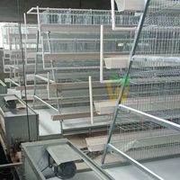 Cage à poules pondeuses automatique de type A à 4 niveaux pour ferme, capacité de 10 000 oiseaux, équipement avicole galvanisé à chaud pour la ponte des œufs